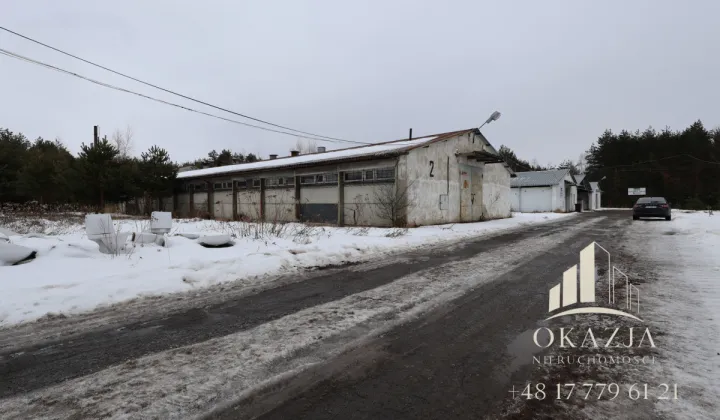 Lokal Wysoka Głogowska