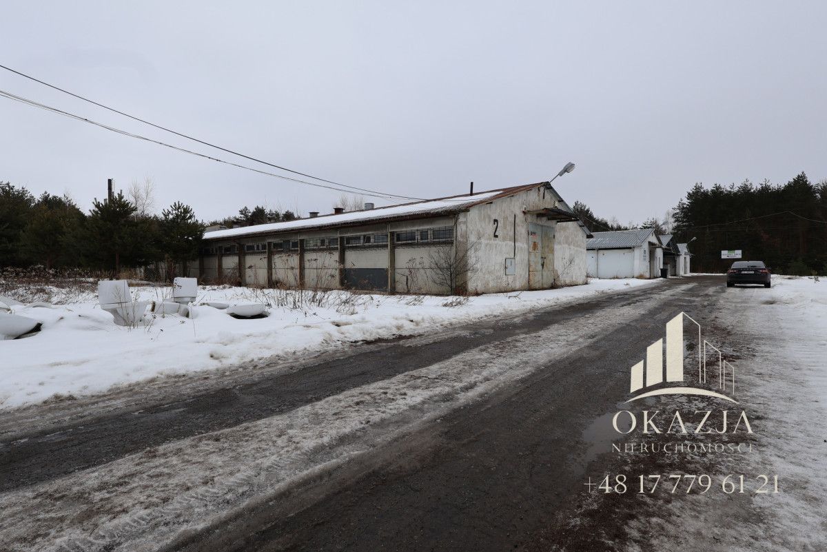 Lokal Wysoka Głogowska. Zdjęcie 1