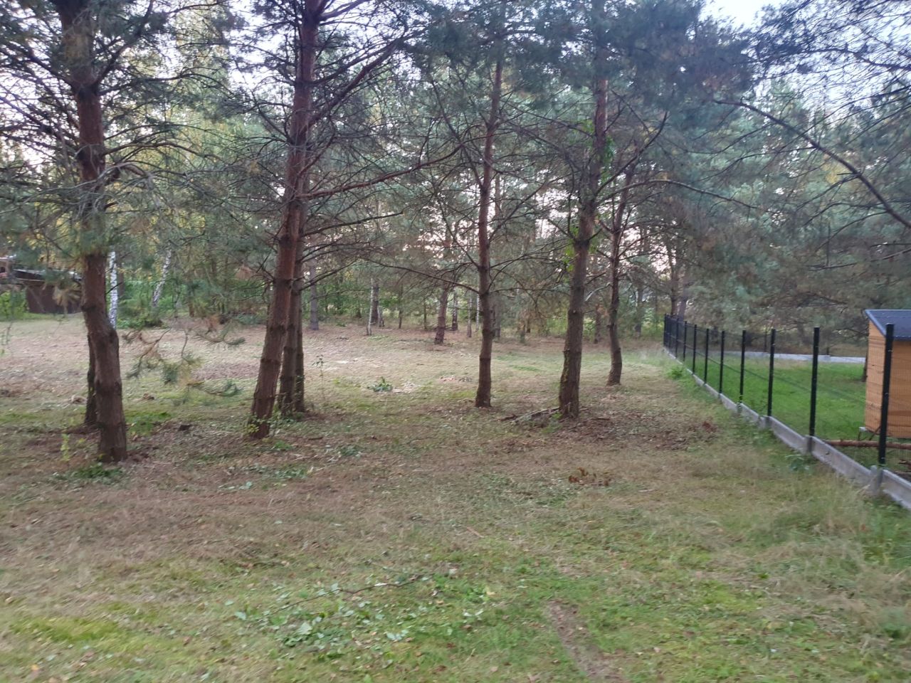 Działka budowlana Golesze-Parcela. Zdjęcie 2