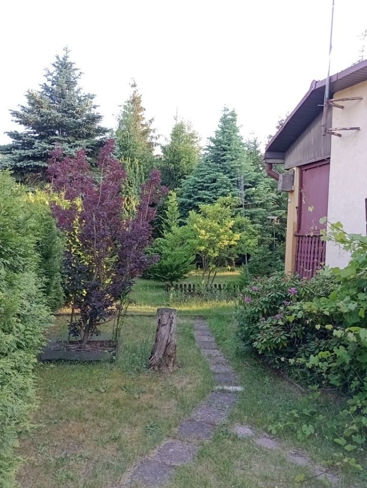 Działka rod Słowik. Zdjęcie 5