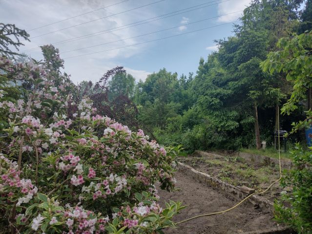 Działka rod Gdańsk, ul. Cedrowa. Zdjęcie 1