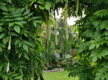 dom wolnostojący, 6 pokoi Siemianowice Śląskie Pszczelnik, ul. Żurawia. Zdjęcie 1