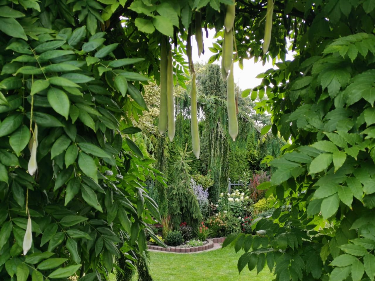 dom wolnostojący, 6 pokoi Siemianowice Śląskie Pszczelnik, ul. Żurawia. Zdjęcie 2