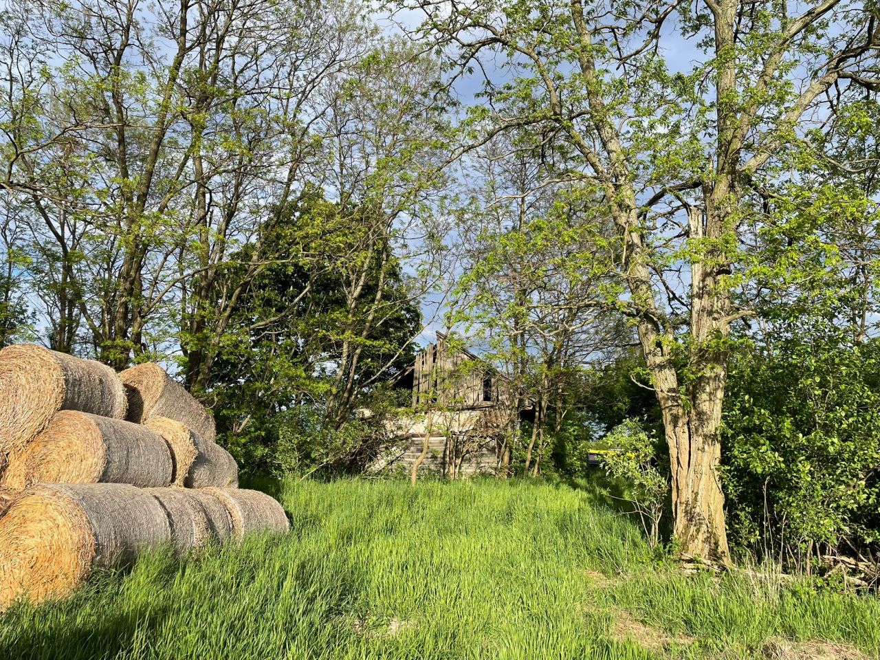 Działka rolno-budowlana Witów. Zdjęcie 3