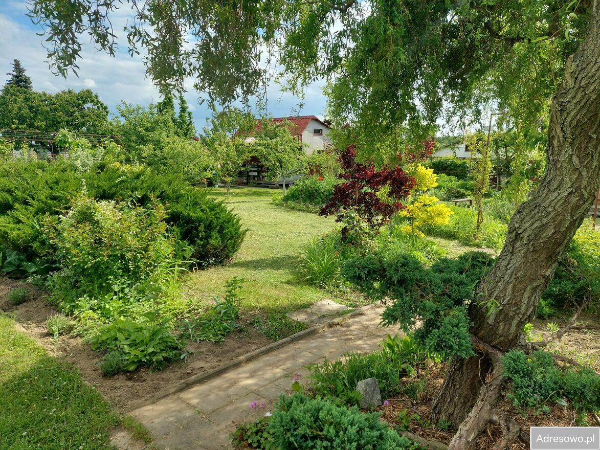 Działka rod Śrem, ul. Józefa Chełmońskiego. Zdjęcie 2