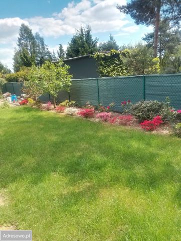 Działka rod Popowo-Parcele, ul. Polna. Zdjęcie 1