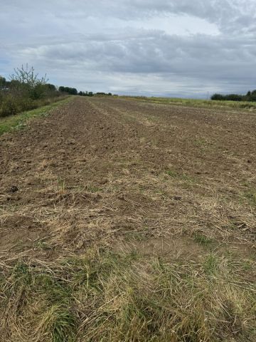 Działka budowlana Karczmiska Pierwsze. Zdjęcie 1
