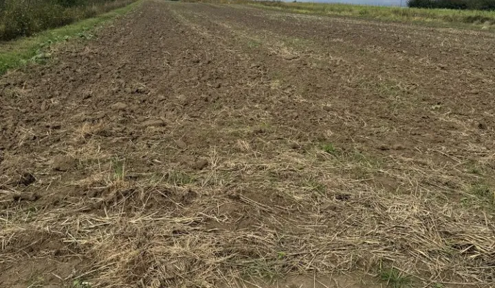 Działka budowlana Karczmiska Pierwsze