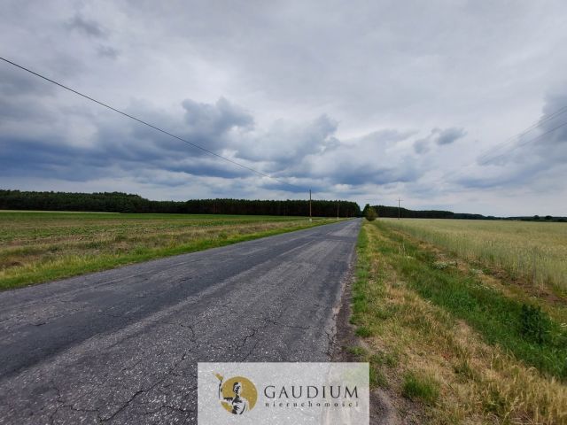 Działka Karszyn. Zdjęcie 22