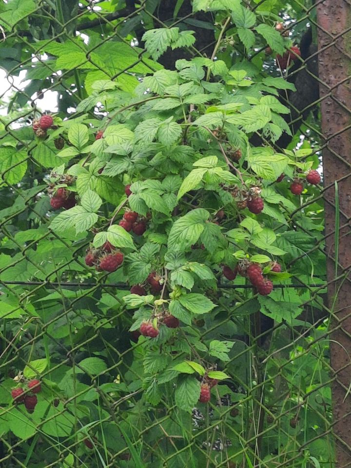 Mieszkanie 3-pokojowe Przemyśl, ul. Artura Malawskiego. Zdjęcie 40