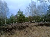 Działka budowlana Karakule, ul. Leśna