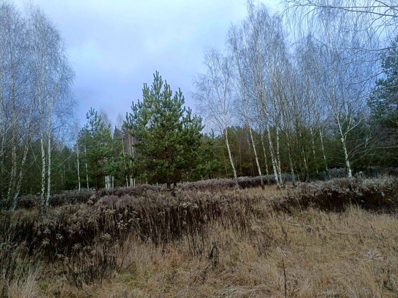 Działka budowlana Karakule, ul. Leśna