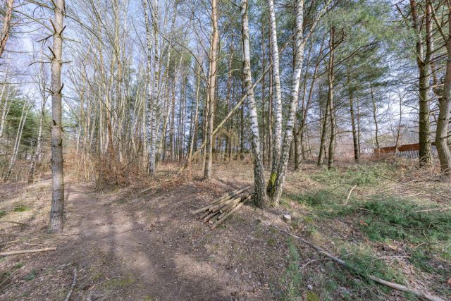 Działka budowlana Gdynia Dąbrowa, ul. Leśna Polana. Zdjęcie 9