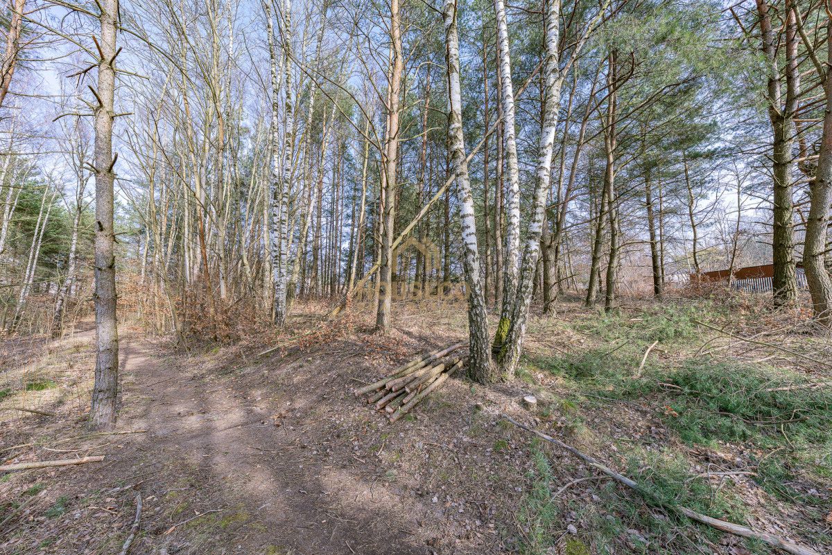 Działka budowlana Gdynia Dąbrowa, ul. Leśna Polana. Zdjęcie 9