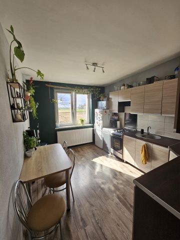 Mieszkanie 2-pokojowe Osiek Osiek Mały. Zdjęcie 1