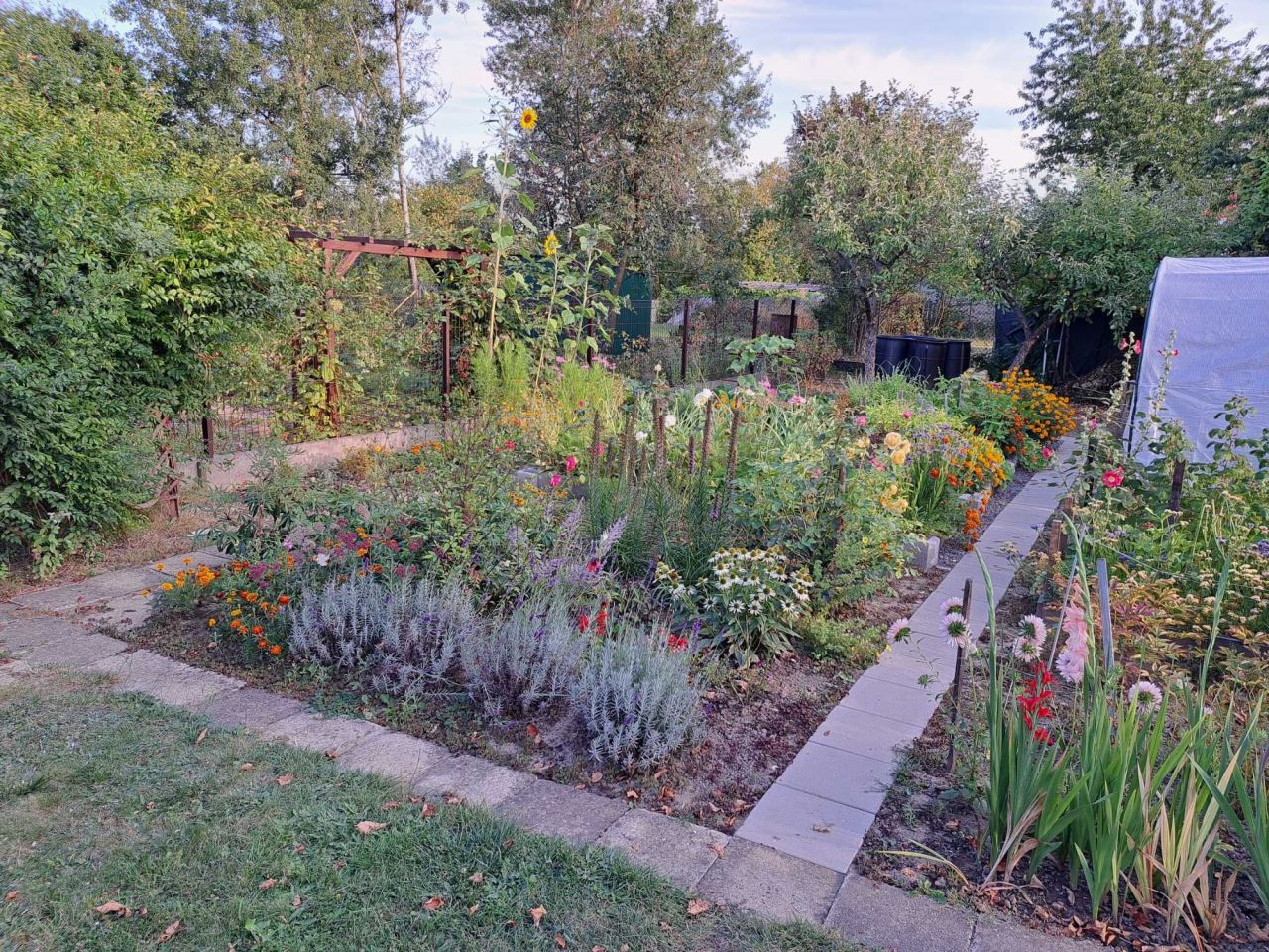 Działka rod Mielec. Zdjęcie 4