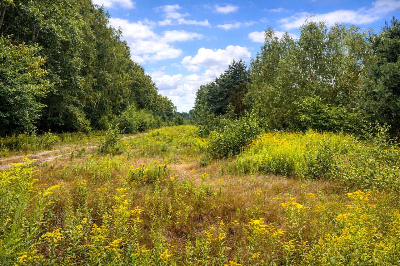 Działka budowlana Glina, ul. Na skraju. Zdjęcie 2
