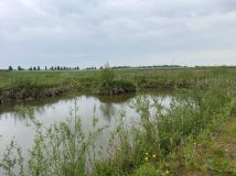 Działka rolna Łysołaje-Kolonia. Zdjęcie 4