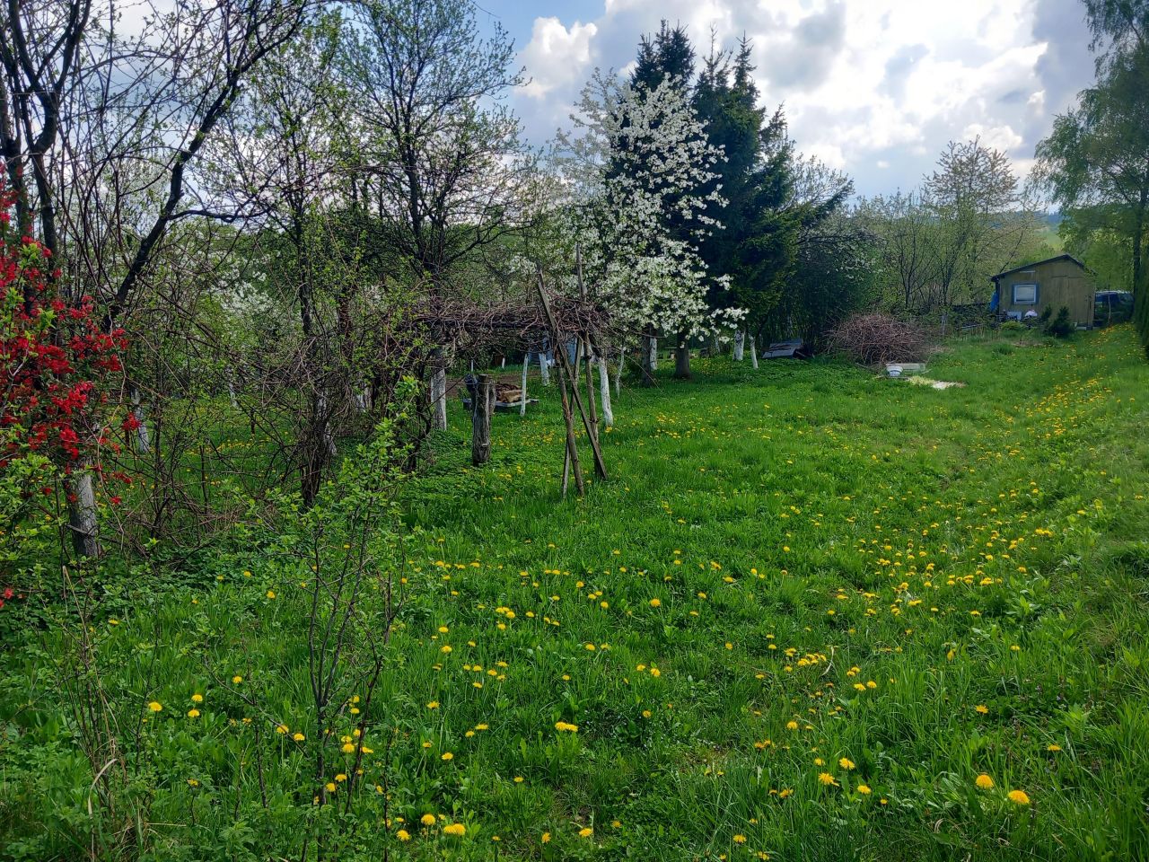 Działka rod Sanok Posada Sanocka, ul. Działkowa