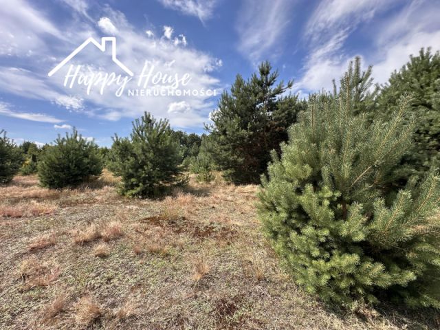 Działka budowlana Rytel, ul. Nadrzeczna. Zdjęcie 21