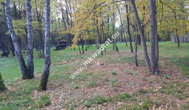 Działka budowlana Budy Mszczonowskie