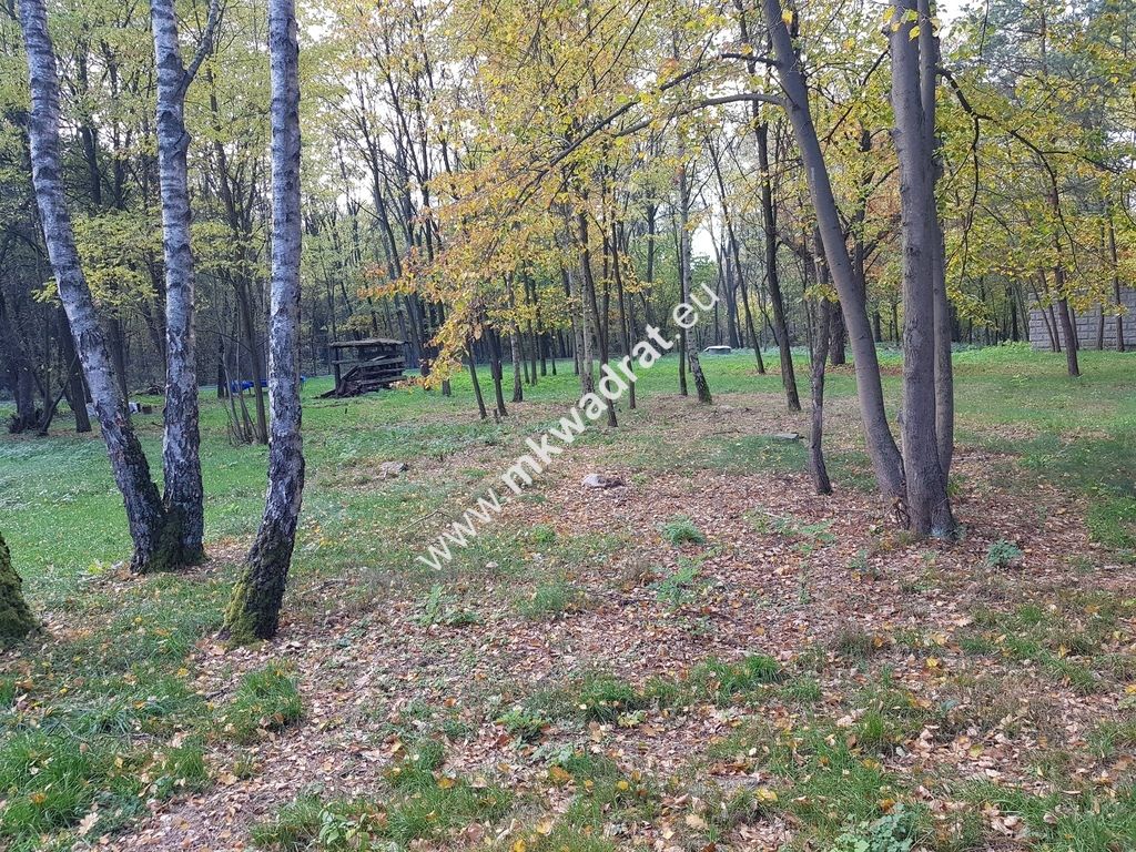 Działka budowlana Budy Mszczonowskie. Zdjęcie 1