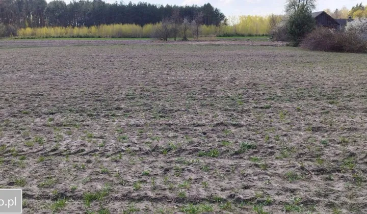 Działka budowlana Maksymilianów