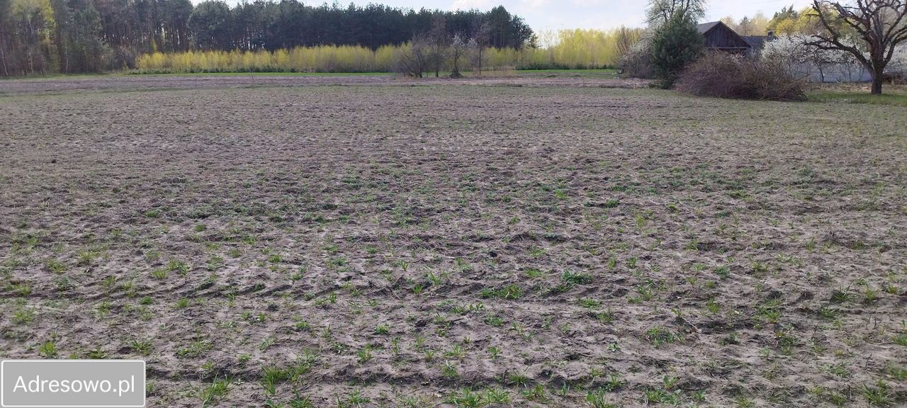 Działka budowlana Maksymilianów. Zdjęcie 1