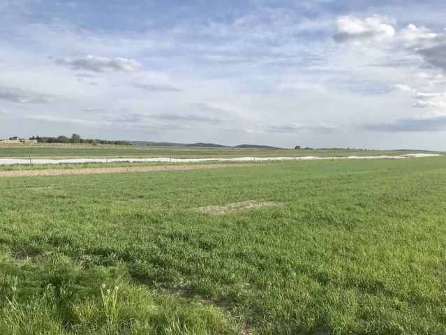 Działka budowlana Brynica. Zdjęcie 1