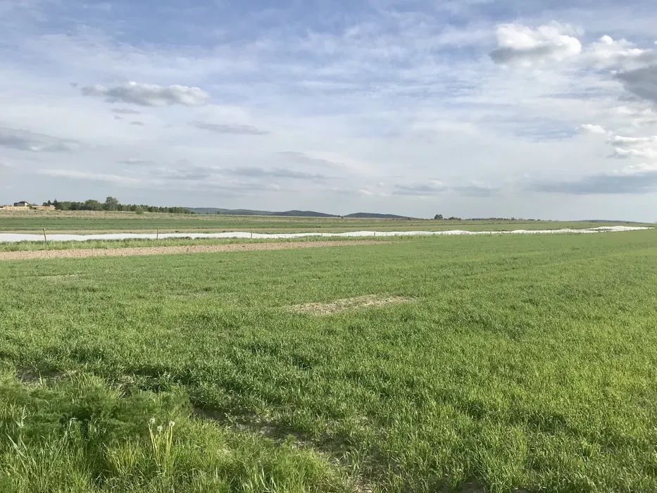 Działka budowlana Brynica. Zdjęcie 1