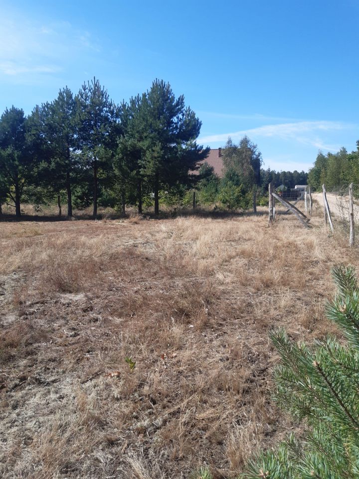 Działka budowlana Czersk, ul. Floriana Ceynowy. Zdjęcie 2