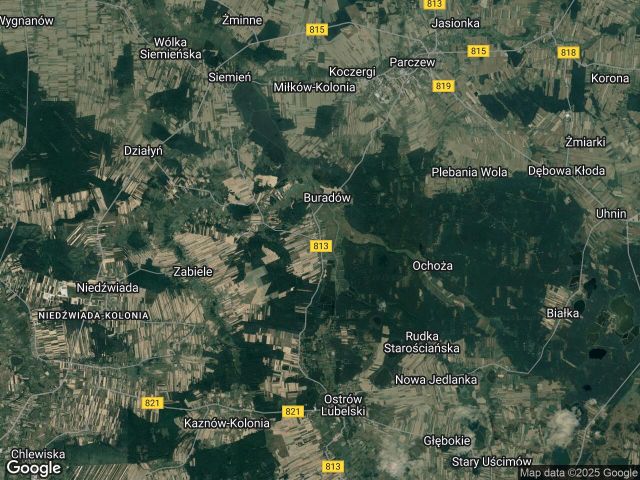 Działka leśna Tyśmienica. Zdjęcie 1