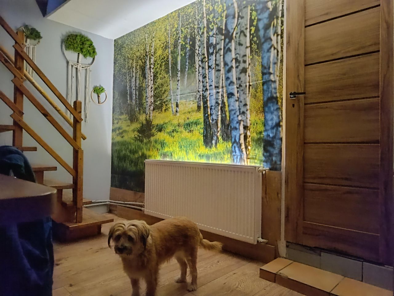 bliźniak, 3 pokoje Jarosław. Zdjęcie 9