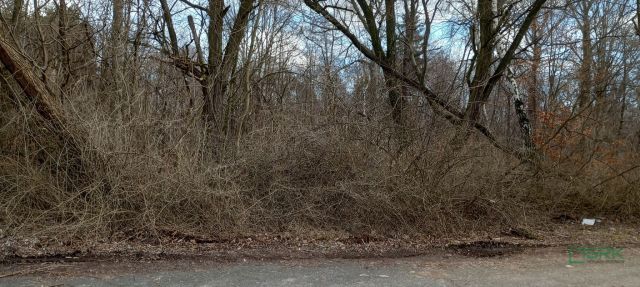 Działka Katowice Murcki, ul. Walerego Goetla. Zdjęcie 1