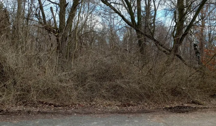 Działka Katowice Murcki, ul. Walerego Goetla