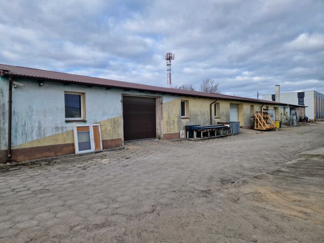 Hala/magazyn Debrzno. Zdjęcie 1