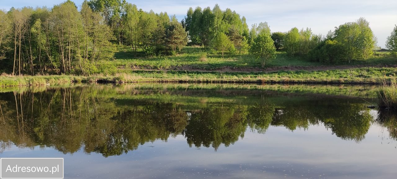 Działka rolno-budowlana Chrostkowo. Zdjęcie 2