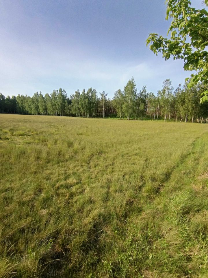 Działka rolno-budowlana Sypniewo. Zdjęcie 2