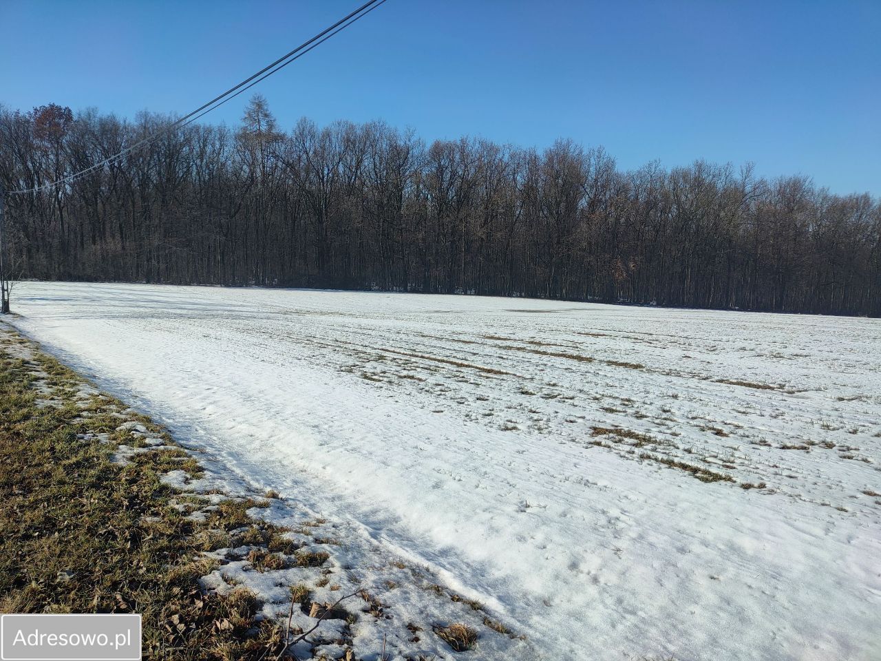 Działka budowlana Celiny. Zdjęcie 15