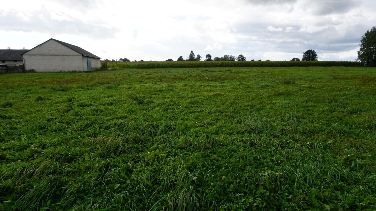gospodarstwo, 6 pokoi Wojny-Szuby Szlacheckie. Zdjęcie 7