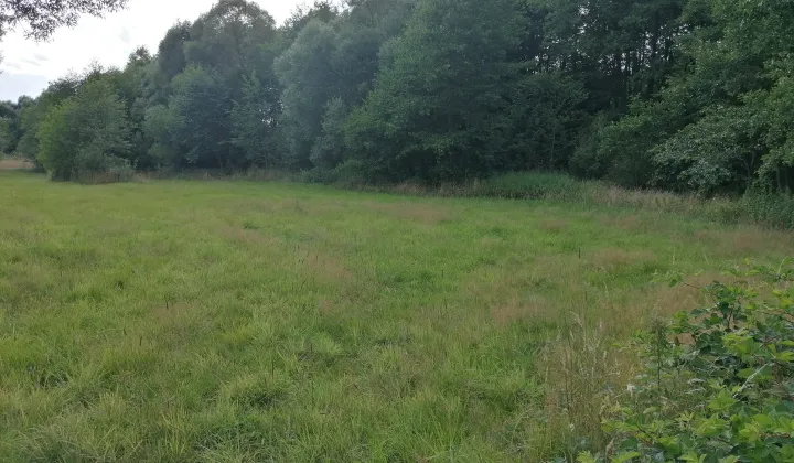 Działka rolna Koziołki