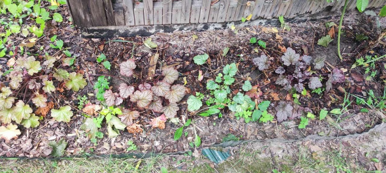 Działka rod Warszawa Mokotów, ul. Racławicka. Zdjęcie 7