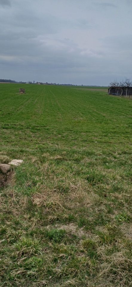 Działka rolno-budowlana Polesie. Zdjęcie 2