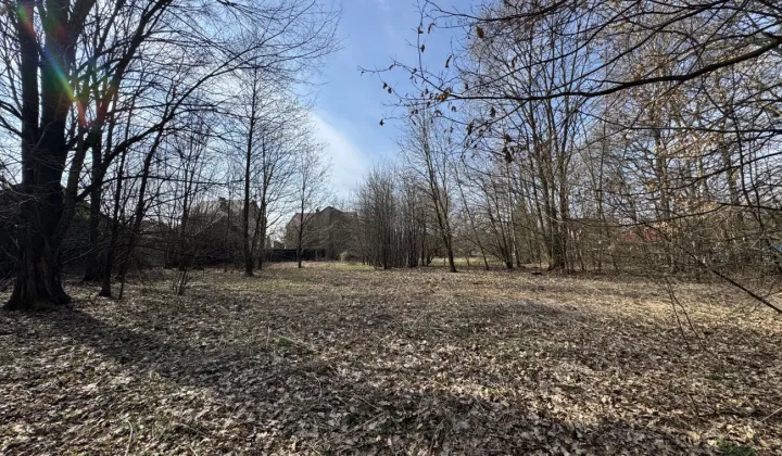 Działka rolno-budowlana Dołęga