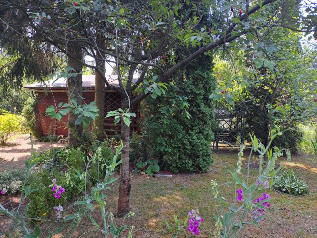 Działka rod Warszawa Bemowo, ul. Księżycowa. Zdjęcie 1