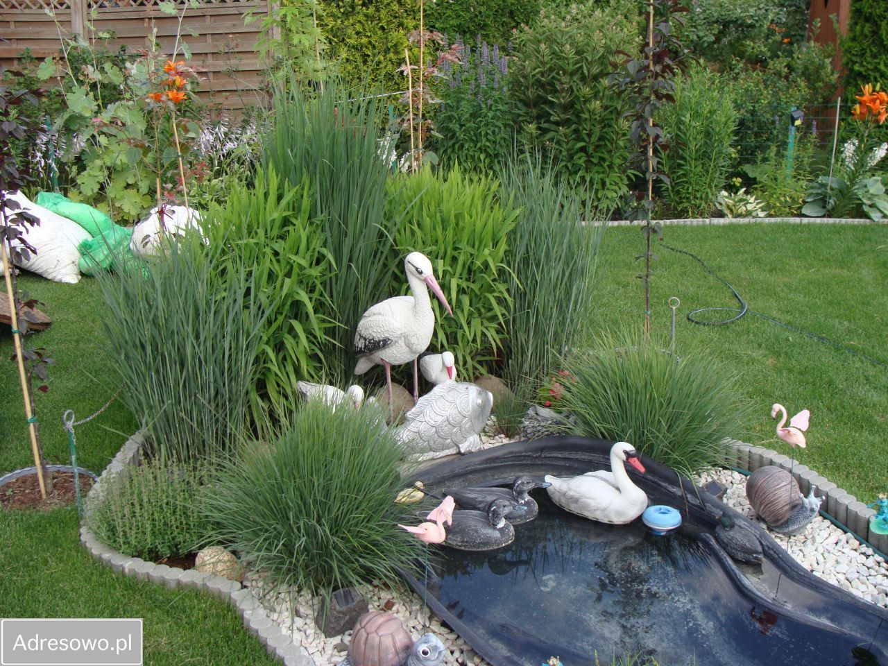 Działka rod Poznań Jeżyce, ul. Bukowska. Zdjęcie 16