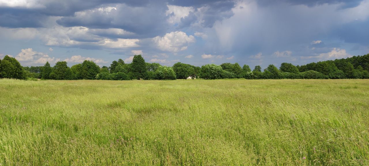Działka rolno-budowlana Cisie, ul. Jesienna. Zdjęcie 20