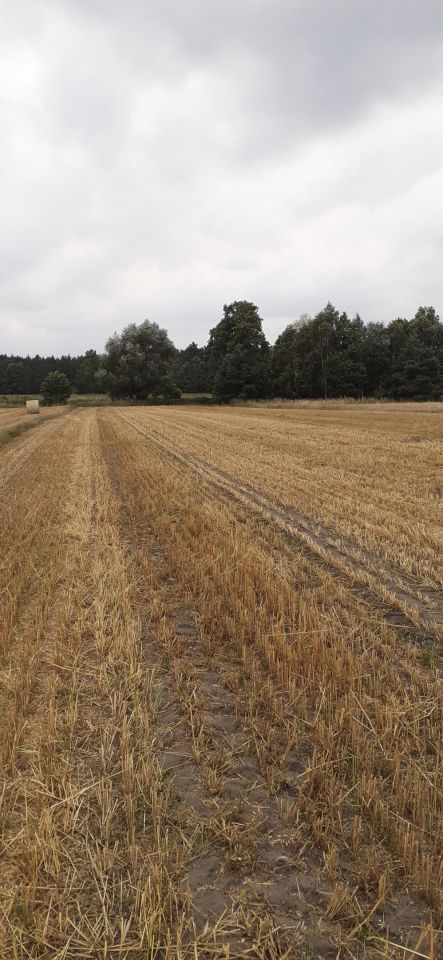 Działka rolno-budowlana Lututów Młynek, ul. Wrocławska. Zdjęcie 9