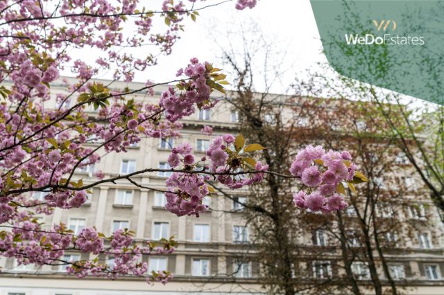 Mieszkanie 2-pokojowe Warszawa Śródmieście, ul. Mordechaja Anielewicza. Zdjęcie 13