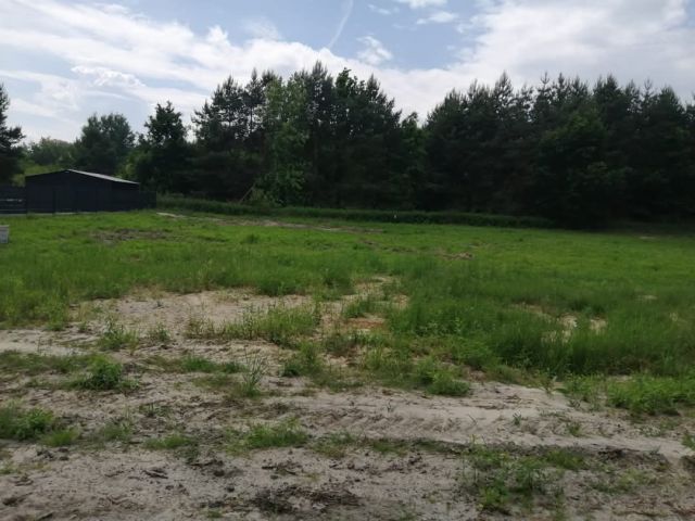 Działka rolno-budowlana Annopol Rachów, ul. Leśna. Zdjęcie 1